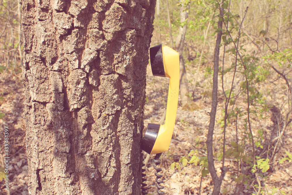 木质树上的手机