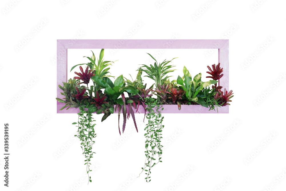 Tropical plants bush decor (hanging Dischidia, Bromeliad, Dracaena, Begonia, Bird’s nest fern) indoo