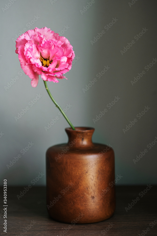 花瓶里的花