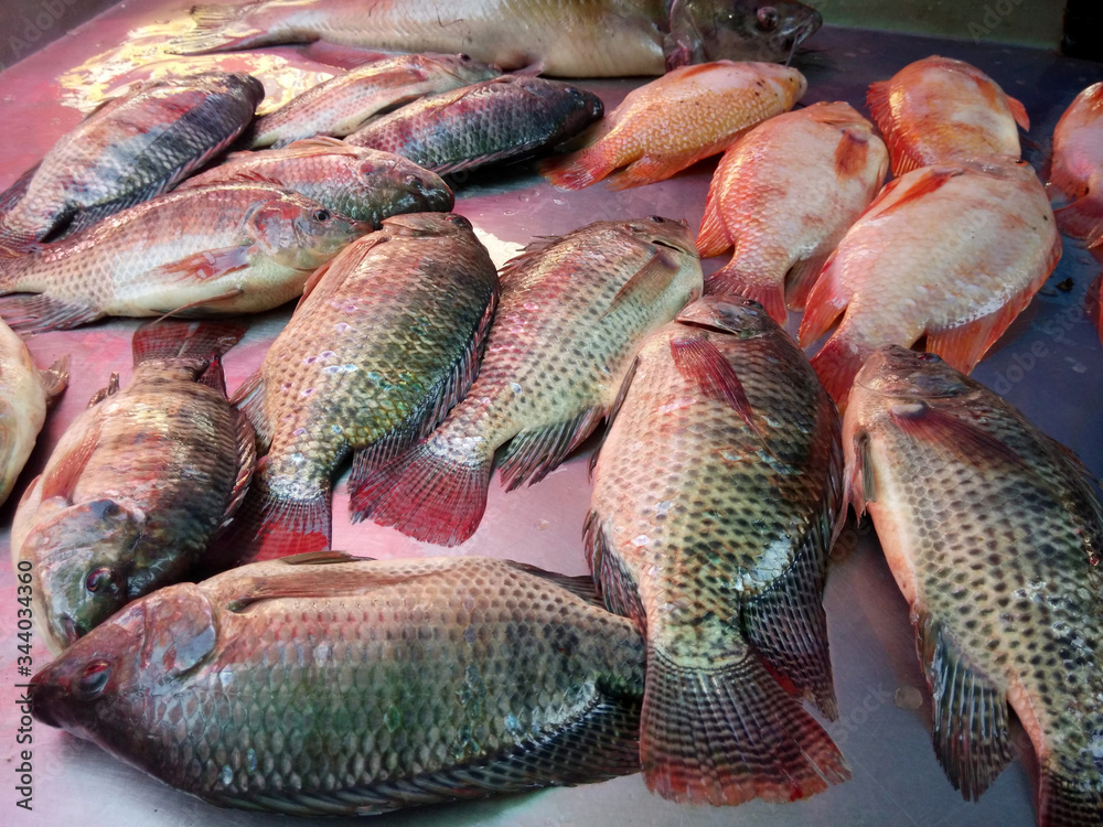 新鲜罗非鱼放在金属桌上准备在市场上出售。