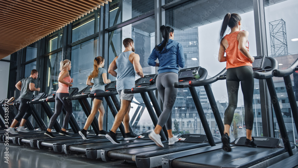 Group of Athletic People Running on Treadmills, Doing Fitness Exercise. Athletic and Muscular Women 