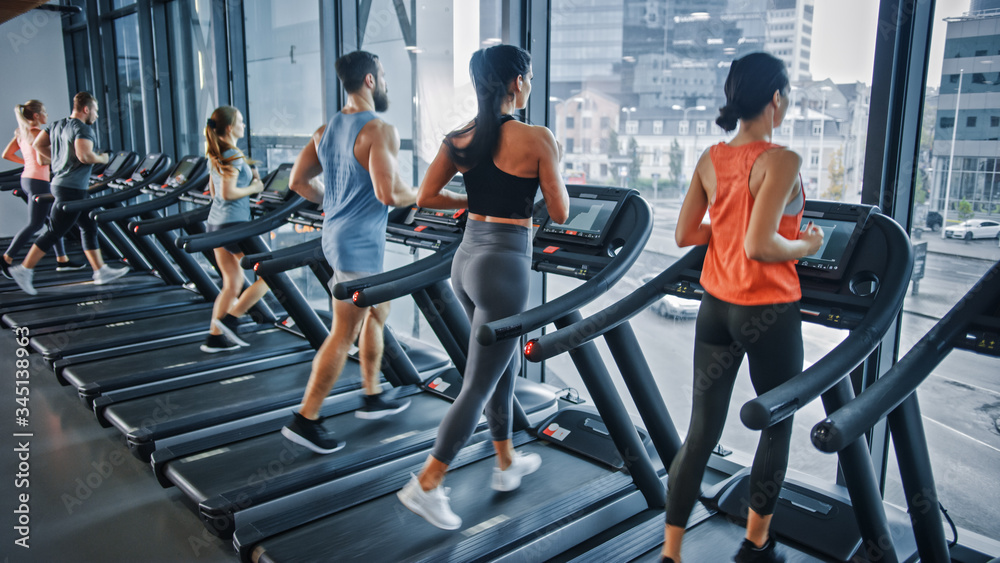 Group of Five Athletic People Running on Treadmills, Doing Fitness Exercise. Athletic and Muscular W