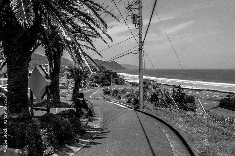 沿着这条路走到海滩。一条通往美丽海湾的小路的黑白照片。