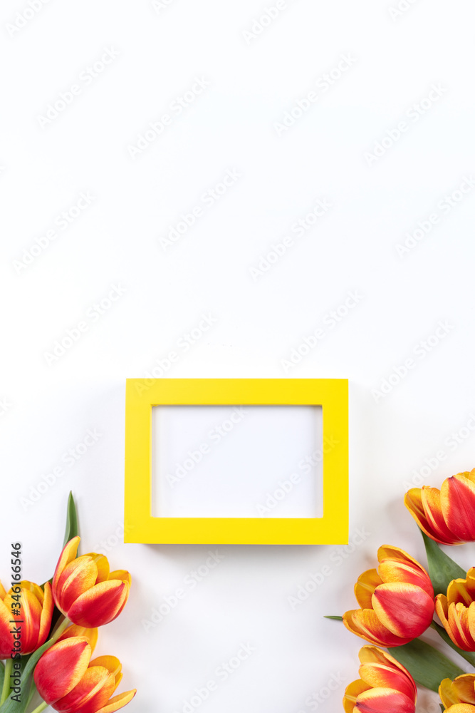 母亲节设计理念，郁金香花束-美丽的红色，黄色花束隔离在白色ba上