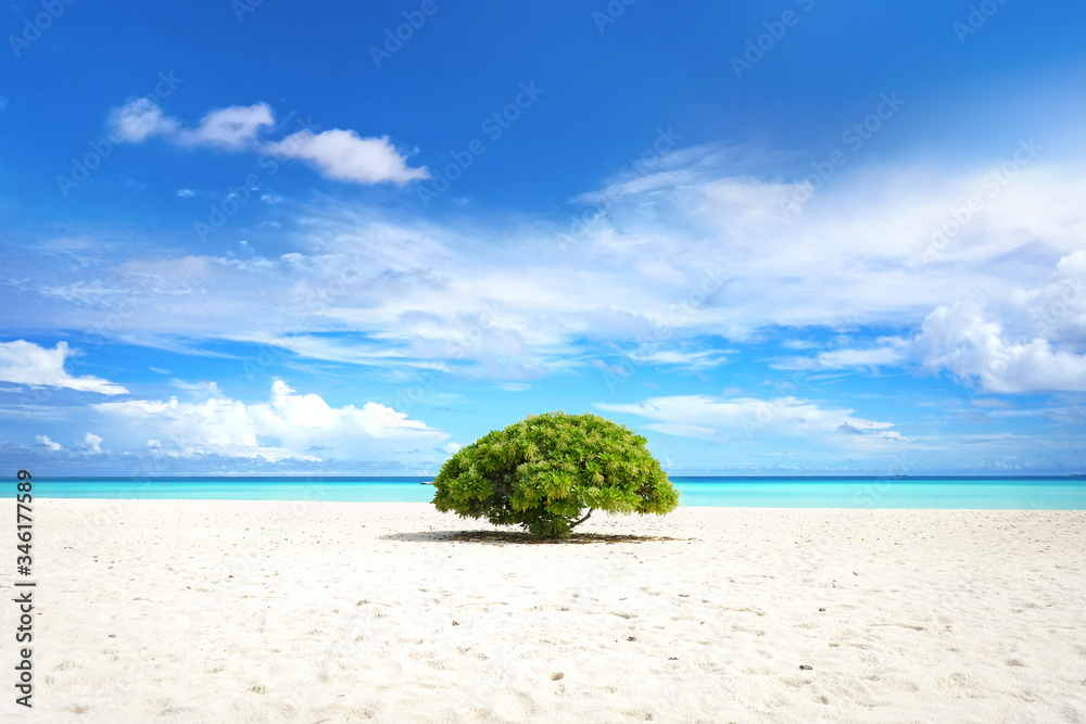 美丽的热带景观海滩，绿色植物映衬着蓝天白云。自然景色