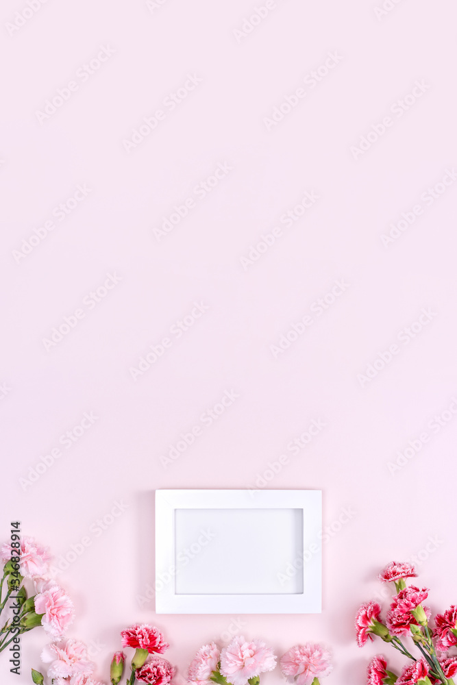 母亲节，情人节背景设计理念，美丽的粉红色，红色康乃馨花束