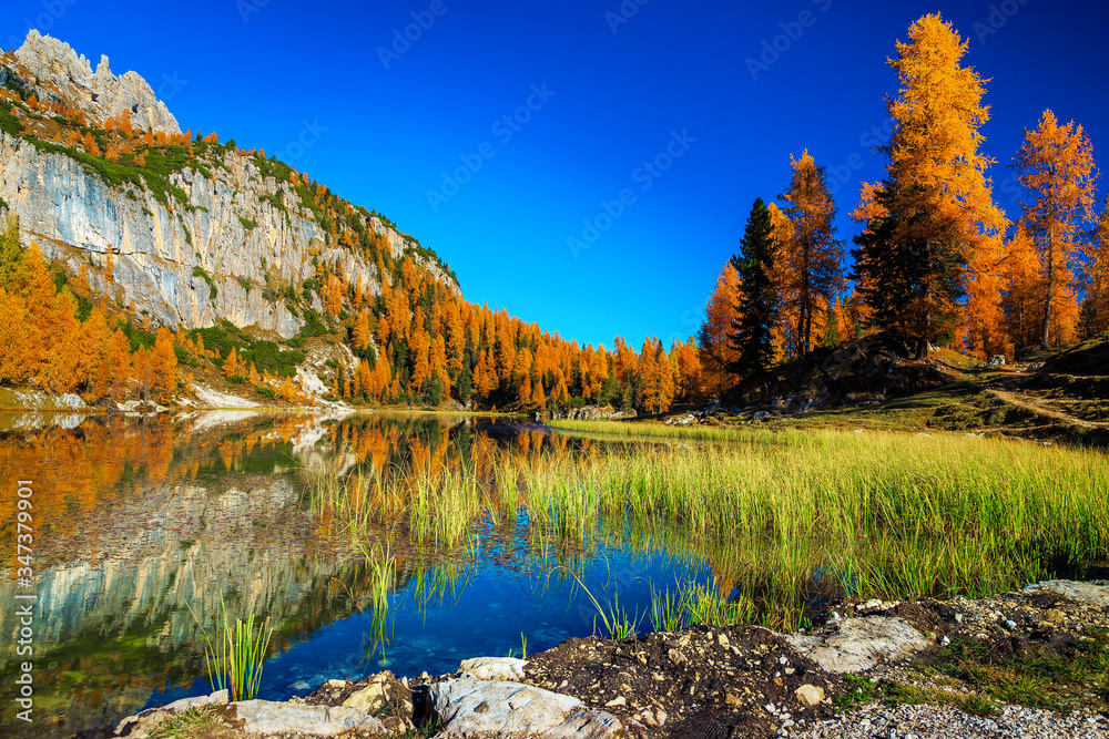 Federa lake with yellow larches in background, Dolomites, Italy