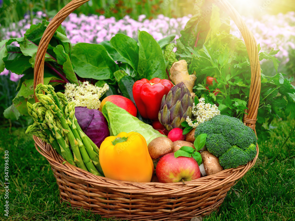 花园里一个漂亮的老式篮子里放着五颜六色、美味可口的蔬菜和水果，还有gra
