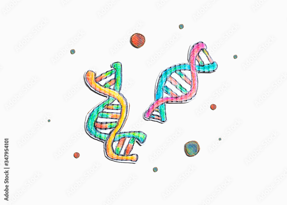 DNA测序主题与纸板工艺图-平面