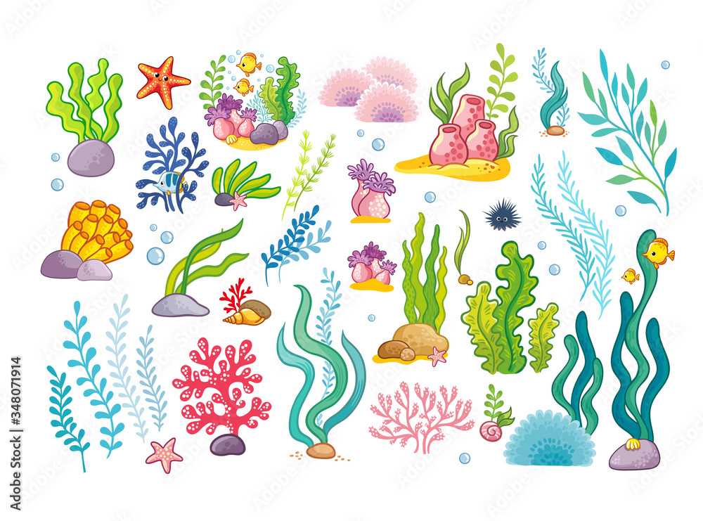 海洋物体和鱼类的大型集合。海藻和海洋动物的矢量集合。