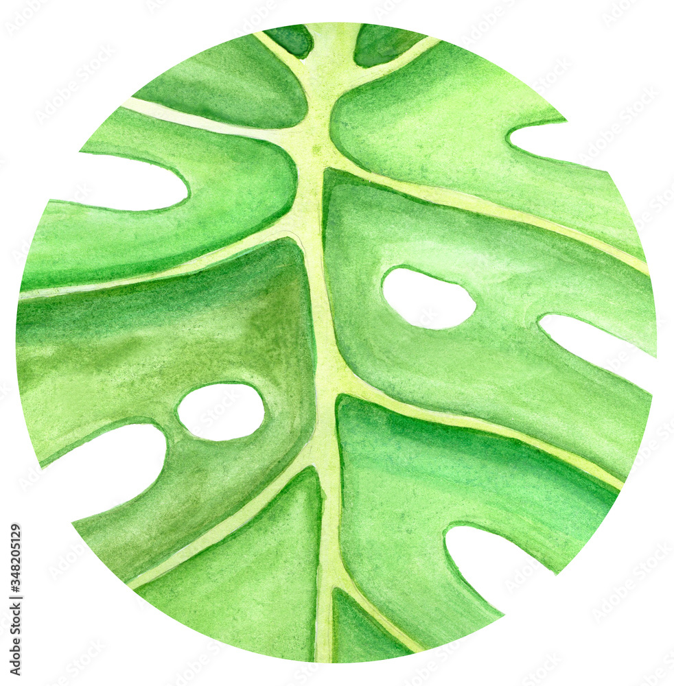 
watercolor illustration, round monstera leaf frame. icon for social networks, circle with a tropica