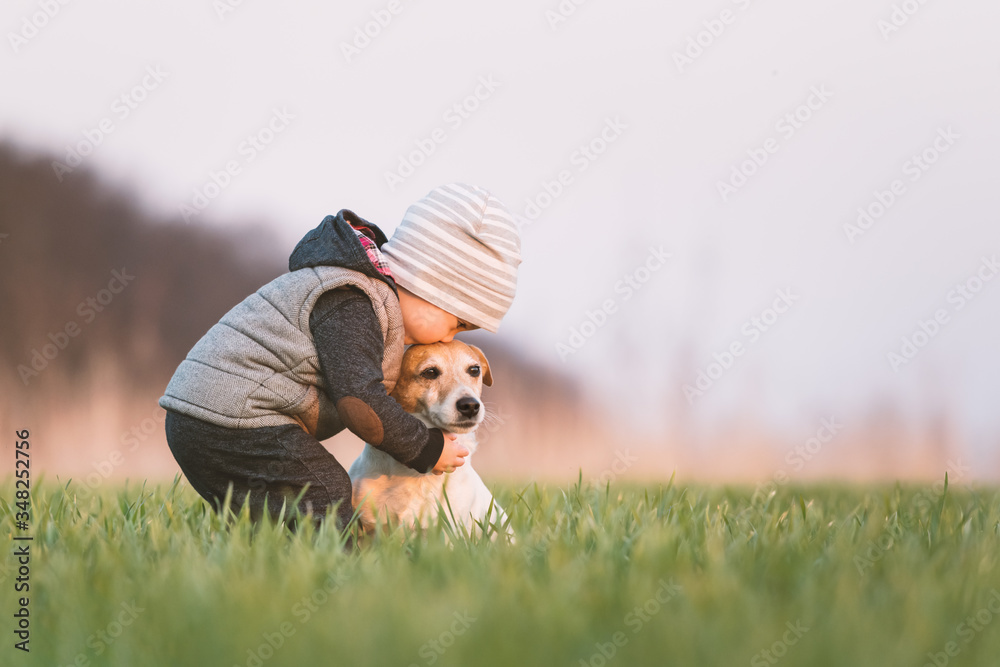 Small kid in yellow jacket with jack russel terrier puppy embrace one another on spring field on sun