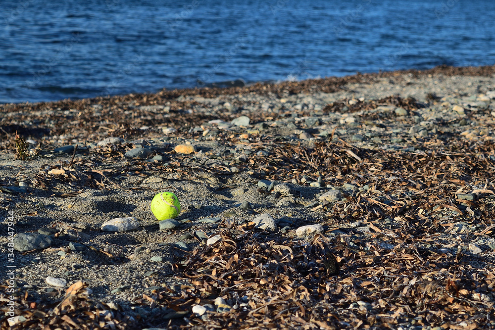 do mermaids like tennis? Abandoned tennis ball on the beach in Therma, Samothraki island, Greece, Ae