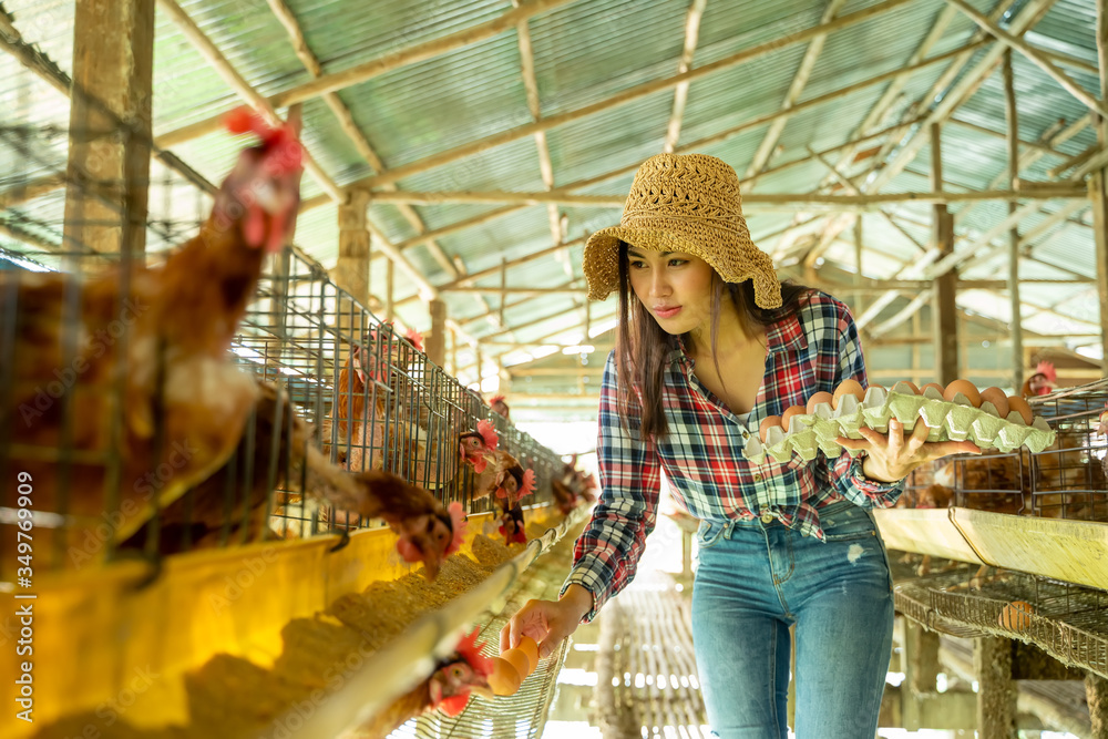 带着鸡蛋的女农民组成有机农场。养鸡场概念标准化。