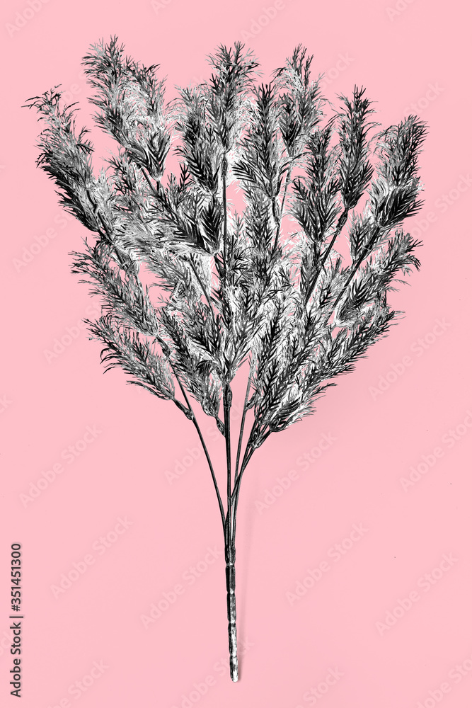 粉红色背景上的人造银蕨叶