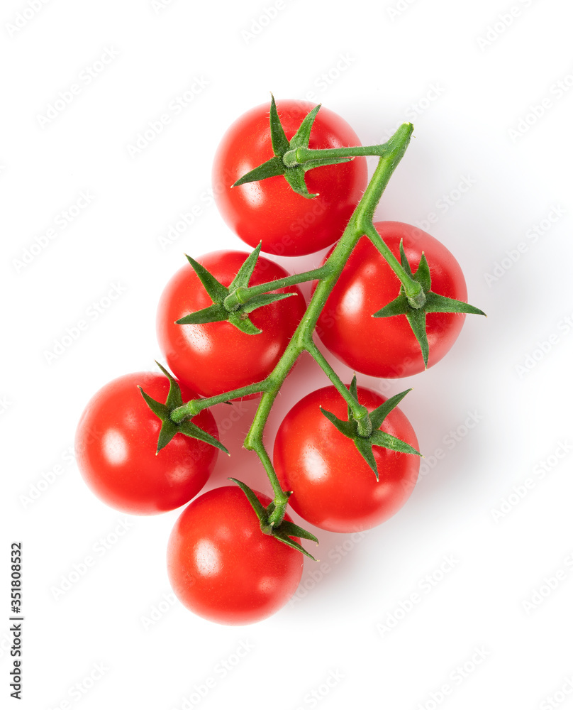 白底番茄