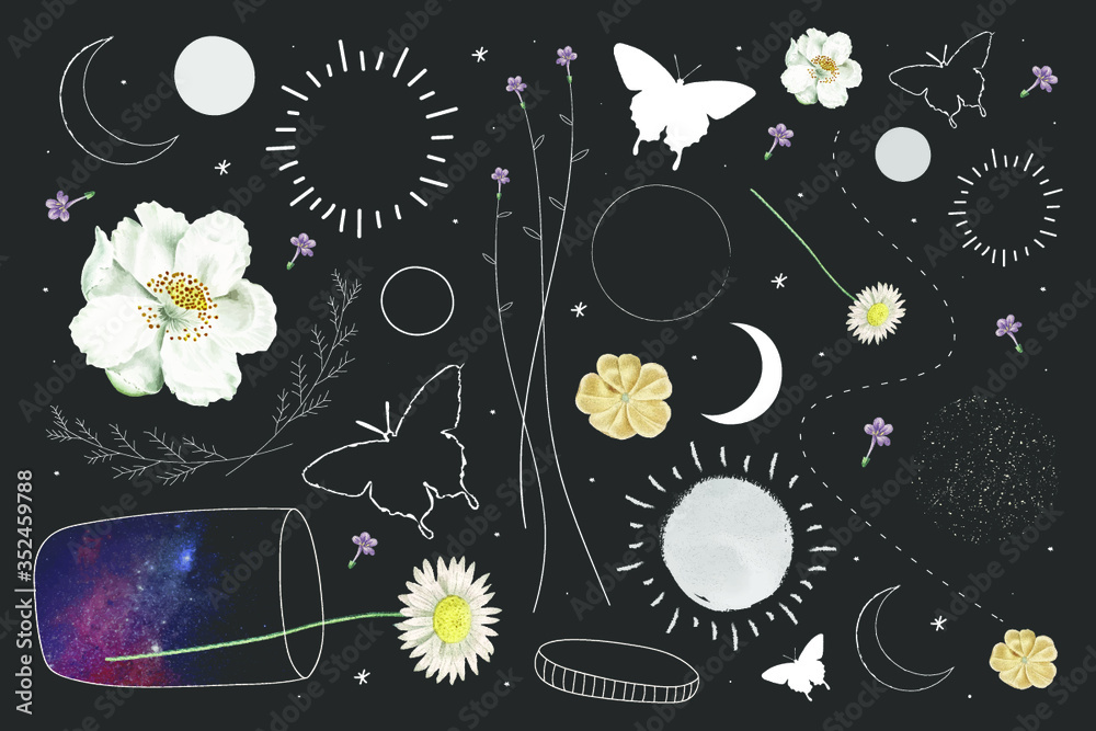 花卉和天文元素集合设计矢量