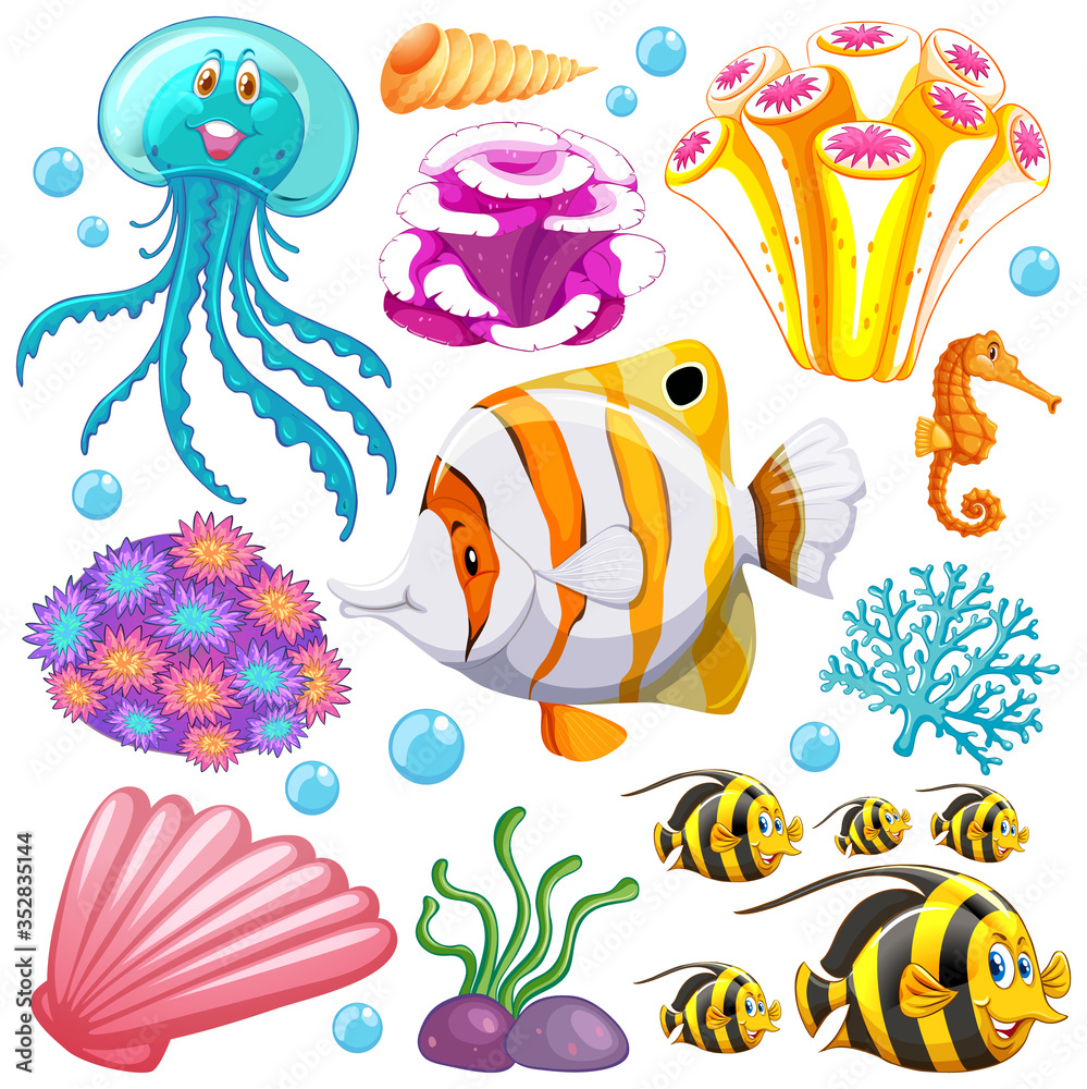 白色背景下的海洋生物和珊瑚集