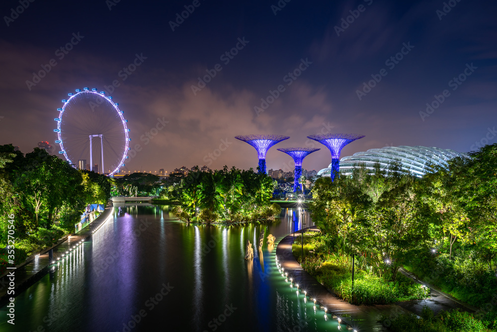 海湾花园的Supertree Grove森林，夜晚被新加坡摩天轮照亮。