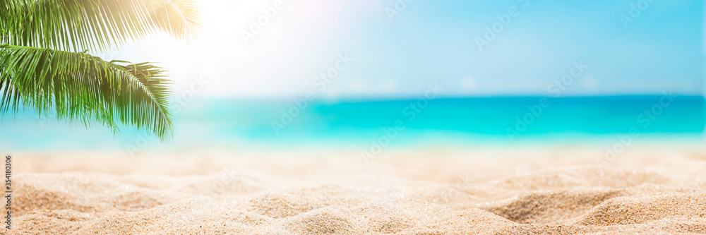 阳光明媚的热带海滩，棕榈树和碧绿的海水，加勒比海岛屿度假，炎热的夏日