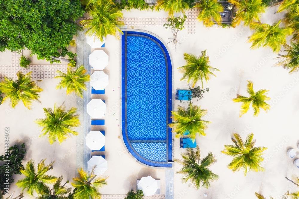 Aerial view at the pool and palm trees. A place for rest and relaxation. Beach umbrellas. Beach club