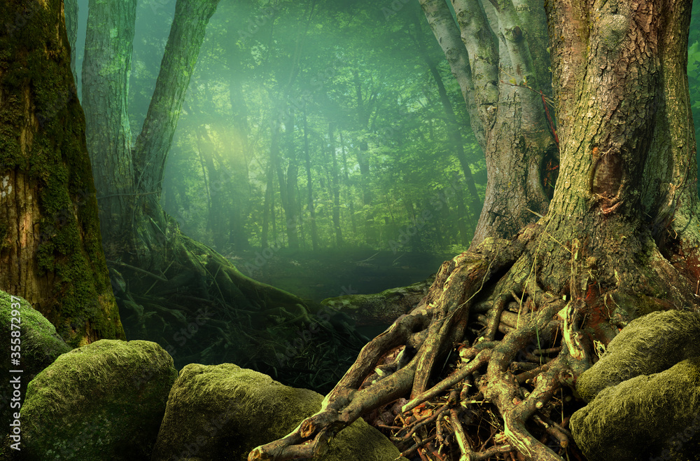 朦胧的绿色背景下有梦幻森林、老树、奇怪的树根和长满青苔的岩石的景观