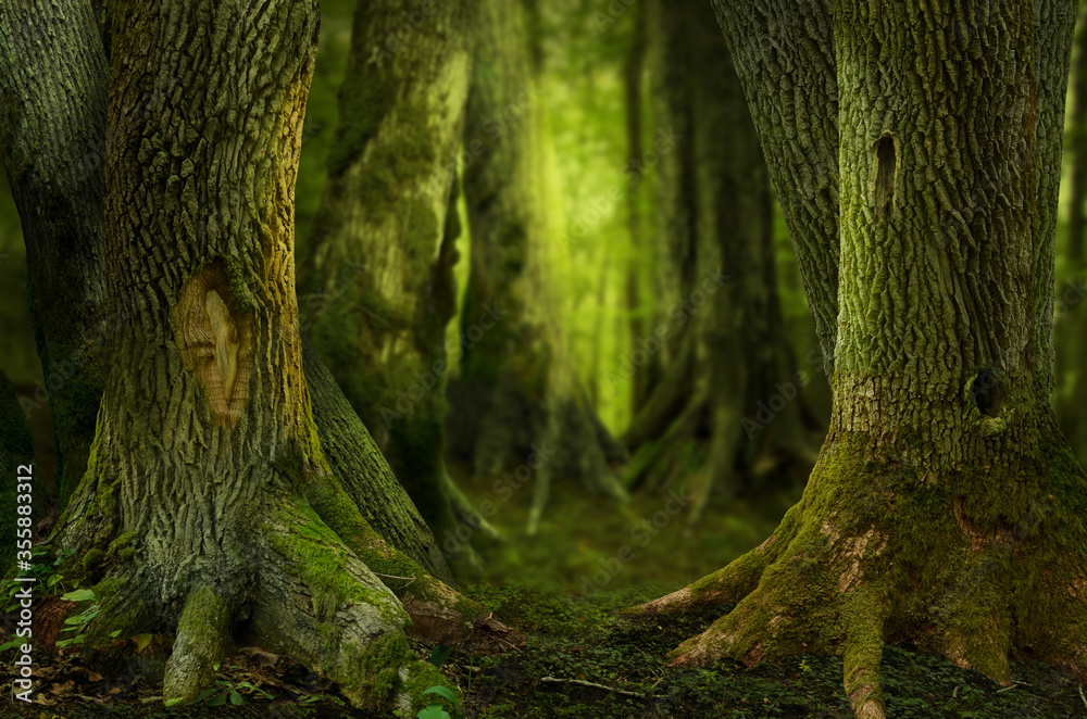 神秘的黑暗森林，古老的空心树，长着巨大的苔藓根。梦幻的森林背景
