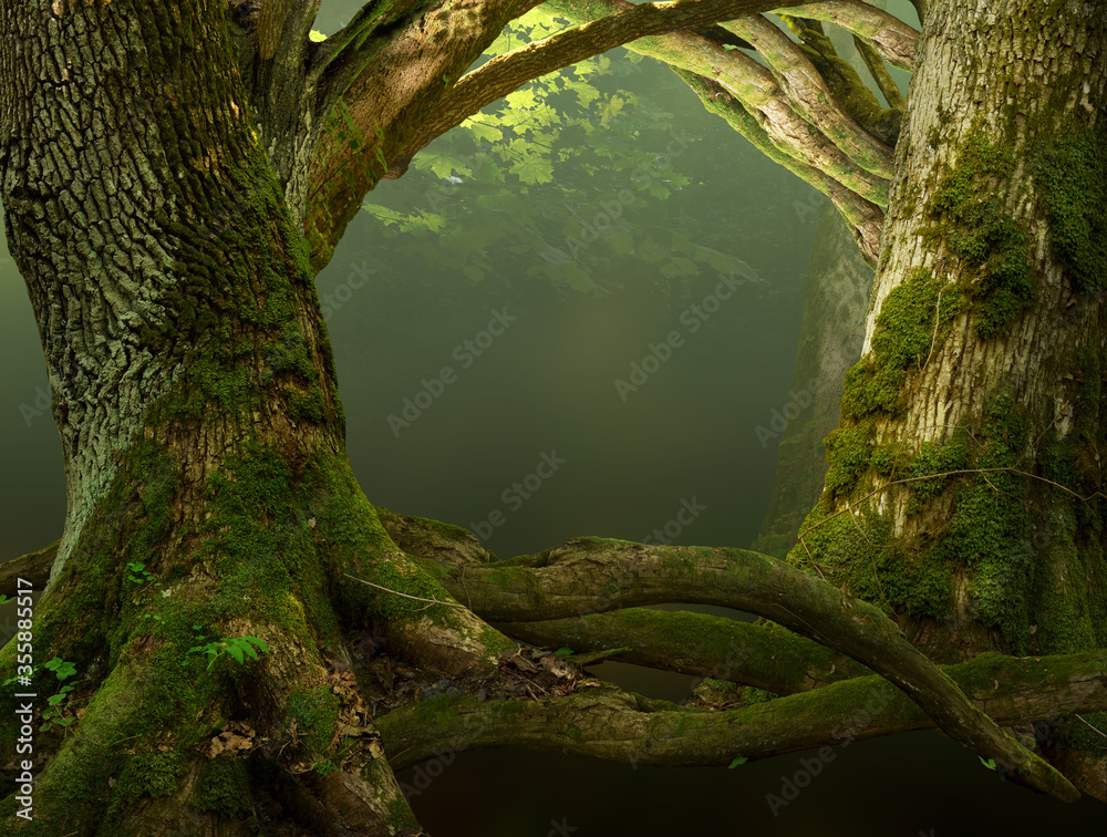 长满青苔的老树，有弯曲的树枝和树根。被构造成通往森林的框架或童话般的大门。