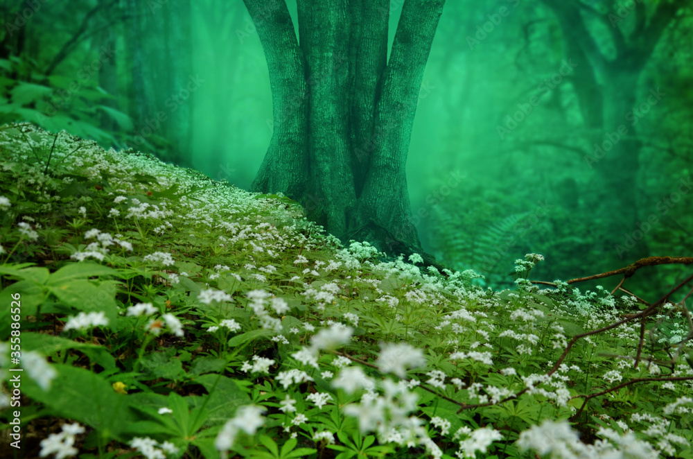 童话般的森林景观，倾斜的山坡上开满了甜美的半圆白花，myst