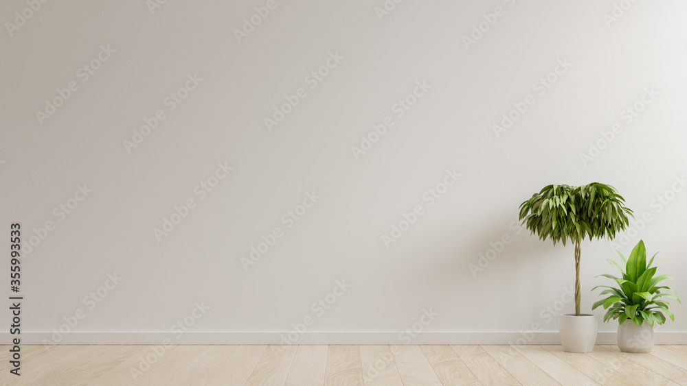 白色墙壁的空房间，地板上有植物。