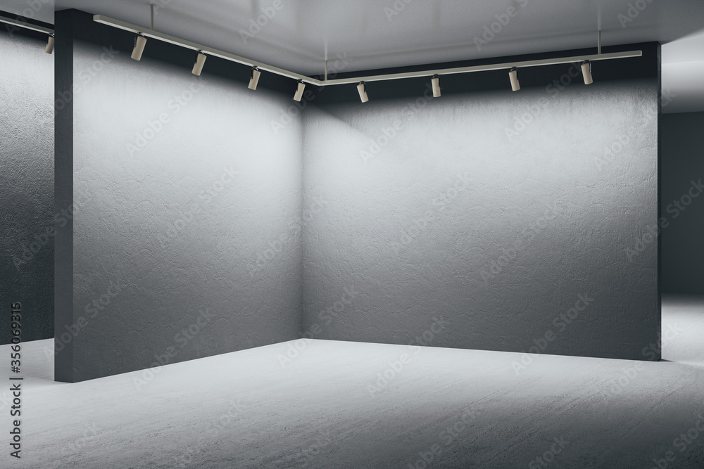 现代灰色画廊内部，有空墙和日光。