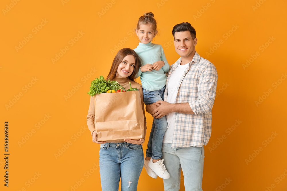 彩色背景的袋装食物家庭