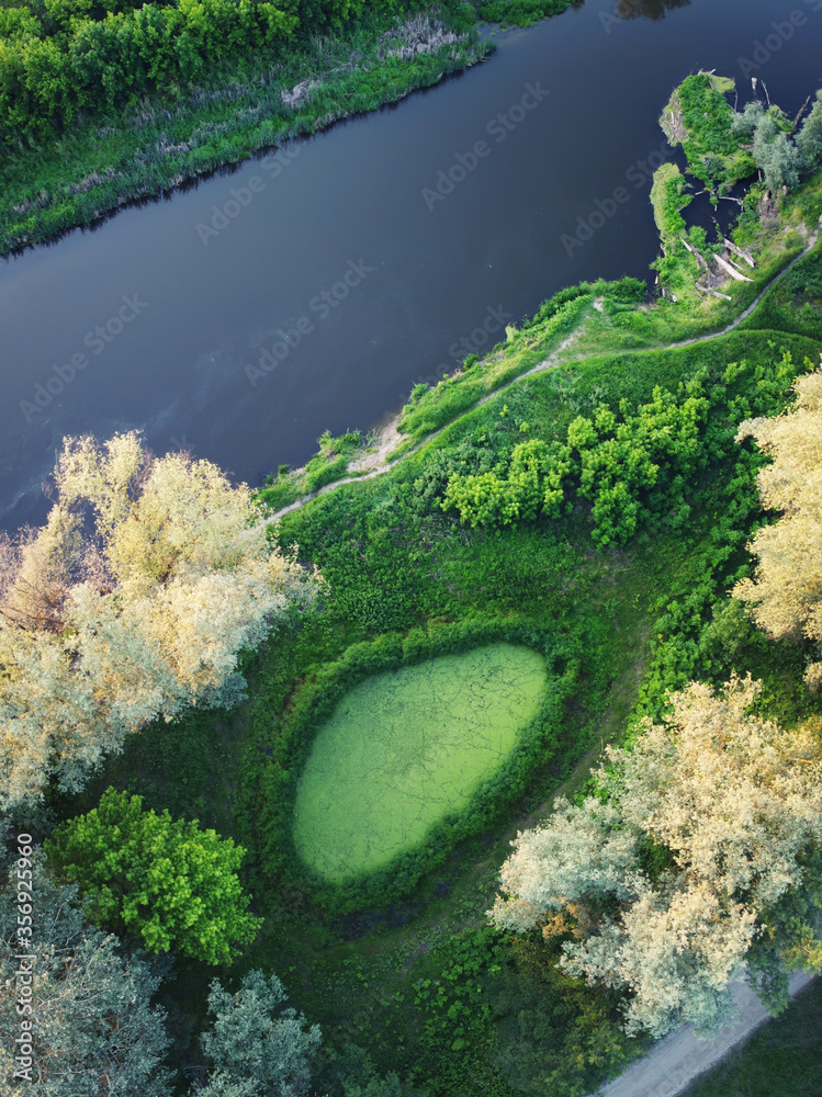 无人机俯瞰绿色植物形状的河流和池塘。从上面看夏天的景色。