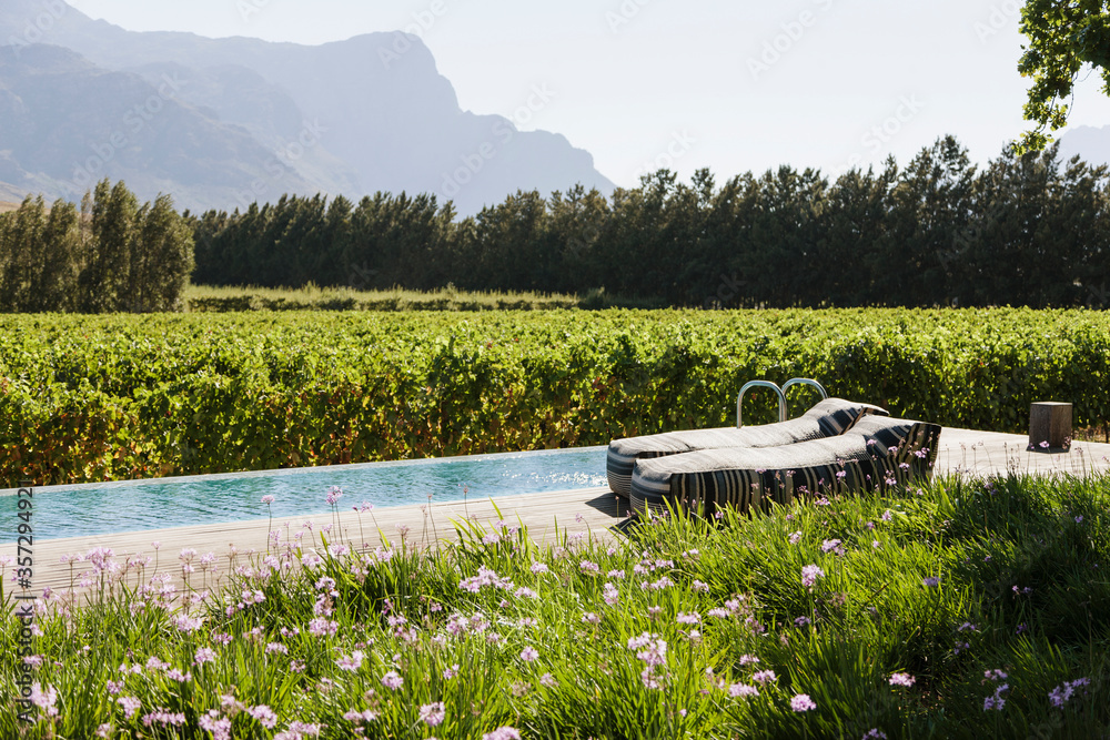 花园和葡萄园之间豪华游泳池旁的躺椅