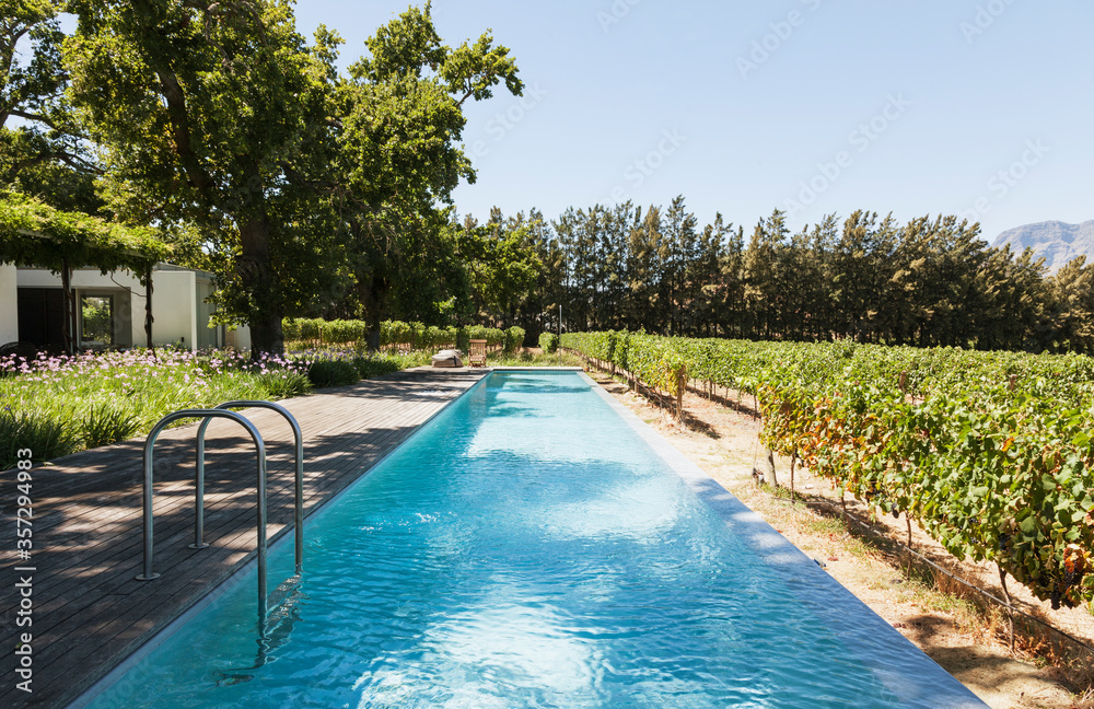 花园和葡萄园中的豪华游泳池
