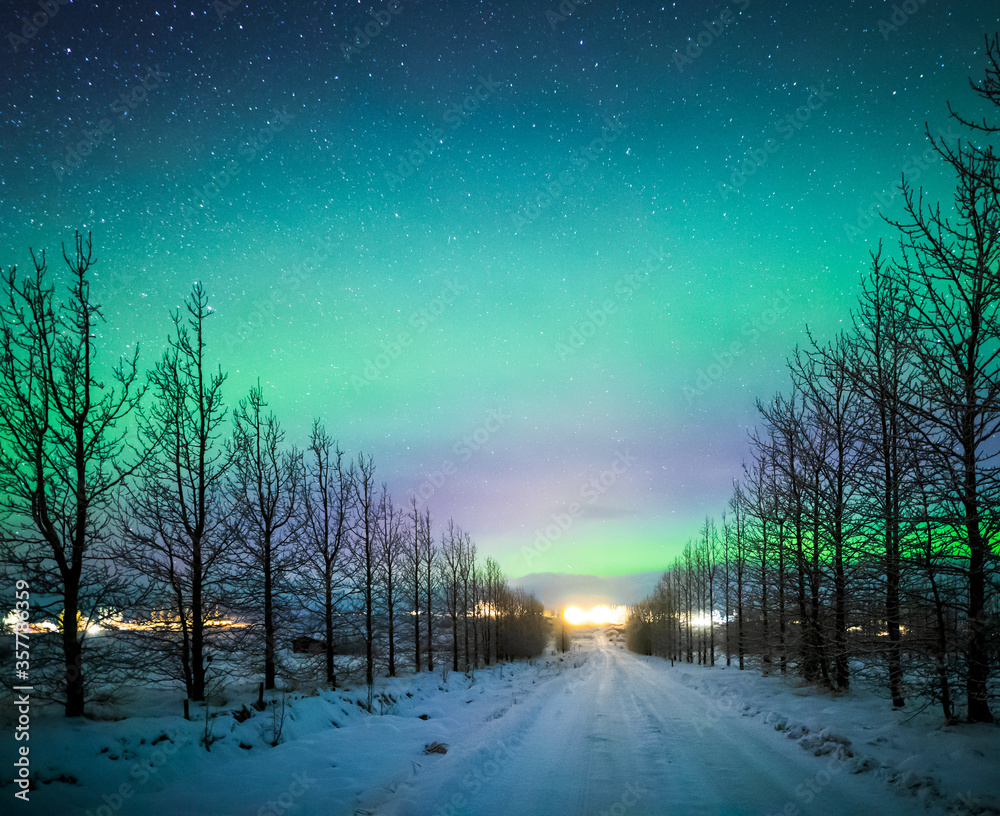 欧洲冰岛冬季，北极光笼罩在结冰的树木和被雪覆盖的道路上