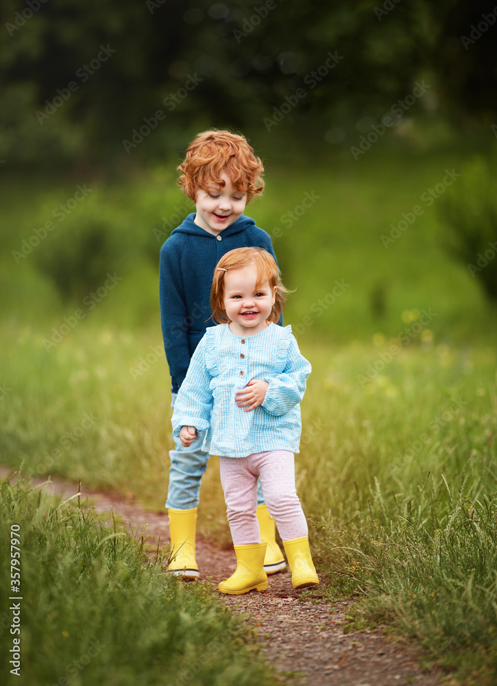 adorable smiling redhead siblings on the walk on a green meadow