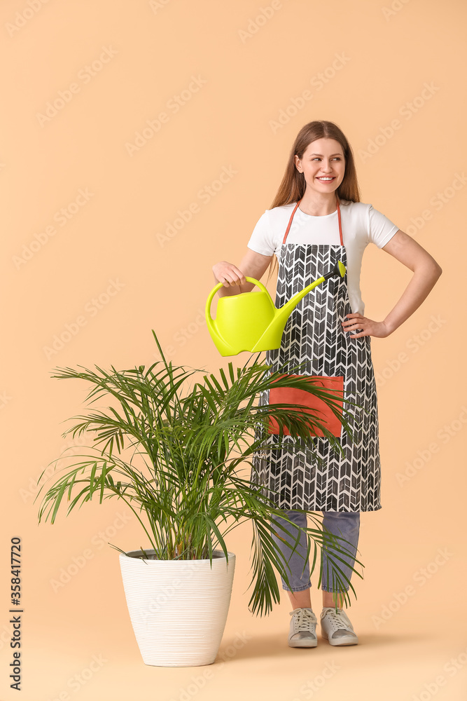 Young woman with watering can and houseplant on color background