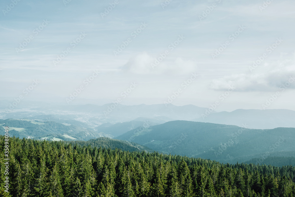 雾中绿色云杉林和蓝色山脉的美丽俯视图。Rogla.Sl的Pohorje Treetop Walk