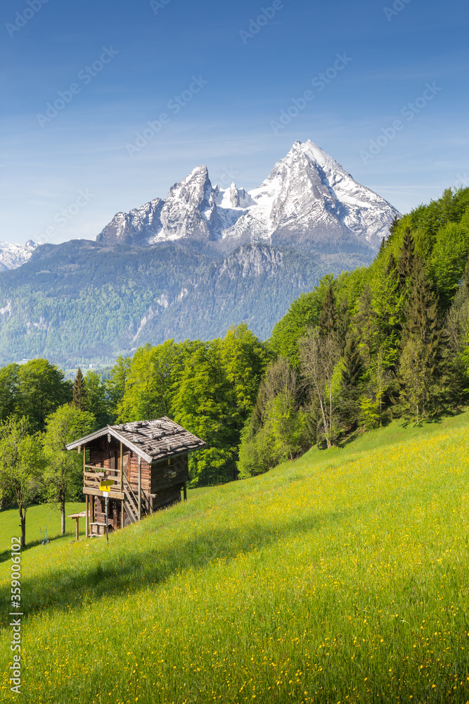 阿尔卑斯山的夏季山景，有盛开的草地和传统的山间小屋