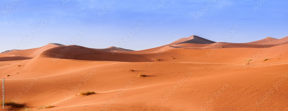 撒哈拉沙漠中的沙丘/在撒哈拉沙漠中，地平线上的沙丘，摩洛哥，非洲。