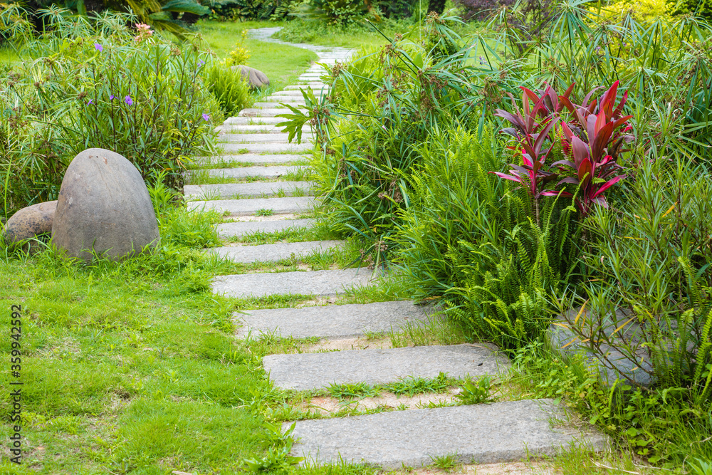 石头人行道蜿蜒穿过宁静的夏季花园