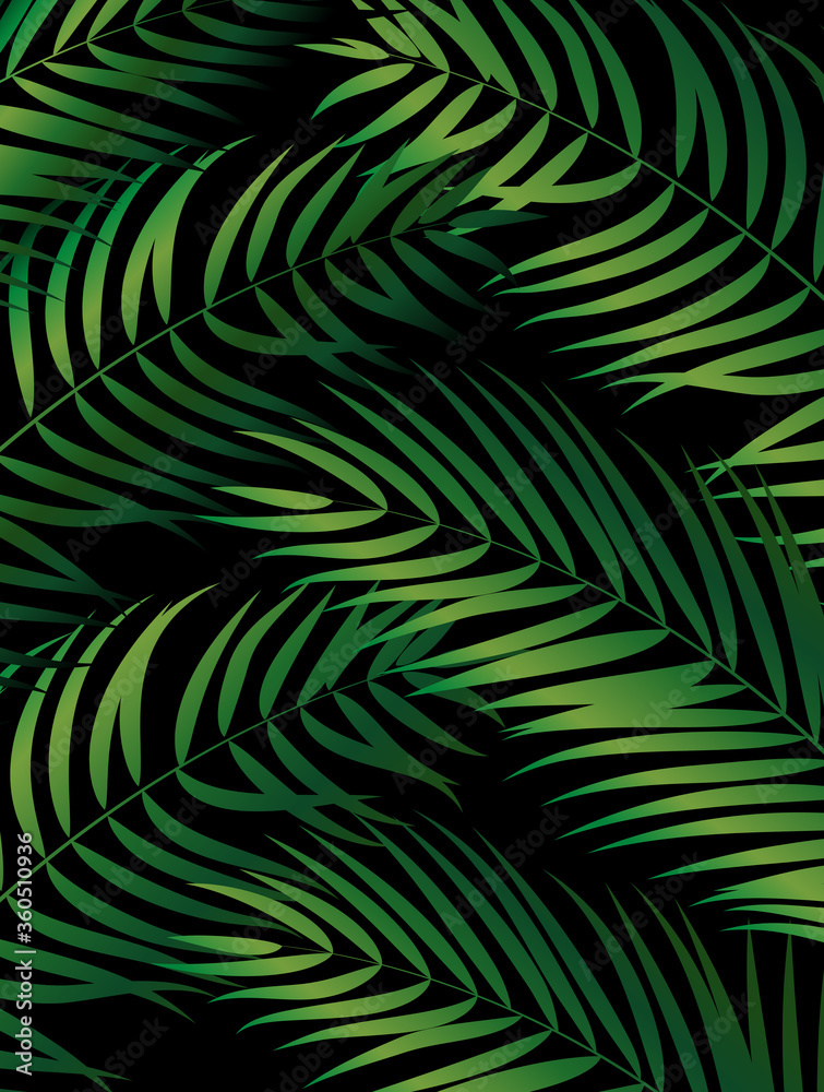 热带天然绿色棕榈背景。矢量插图