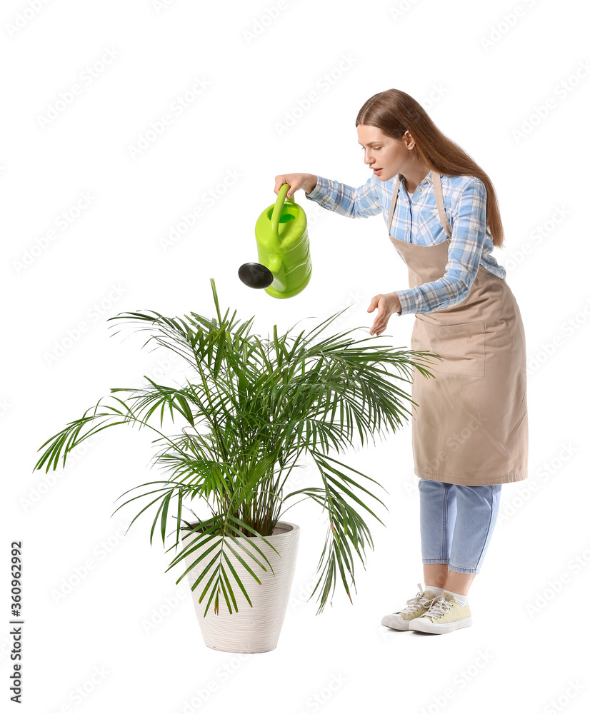 白色背景下带着喷壶和室内植物的年轻女子