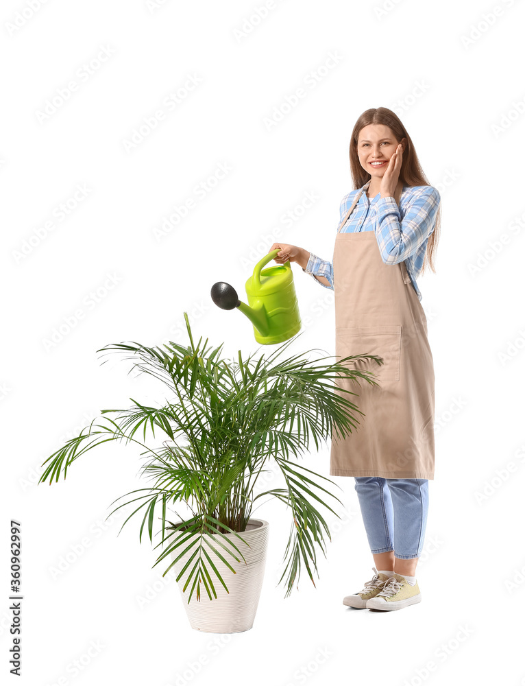 白色背景上带着喷壶和室内植物的年轻女子