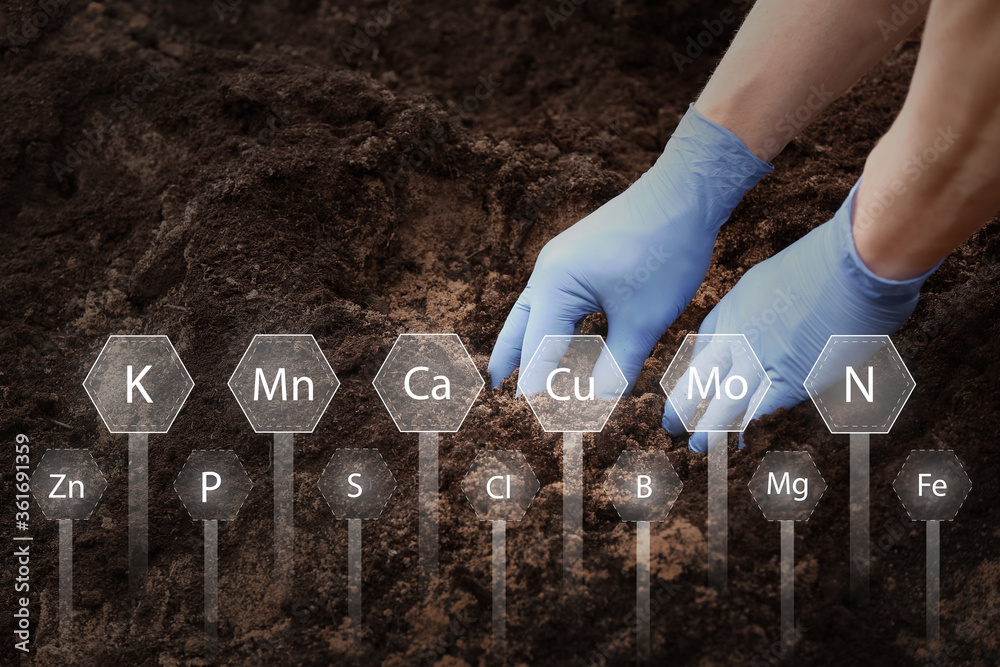 科学家在户外测试肥沃的土壤