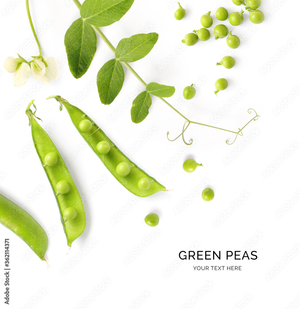 以绿色豌豆为白色背景的创意布局。平面布局。宏观概念。