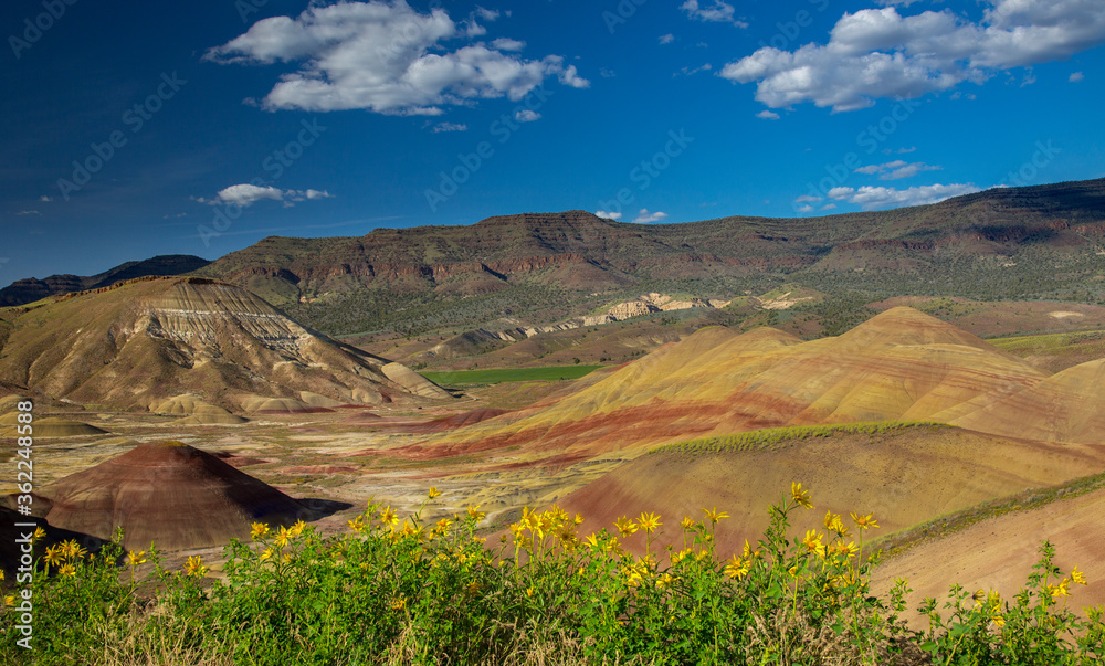 位于美国西北部的Painted Hills是John Day化石床的三个单元之一