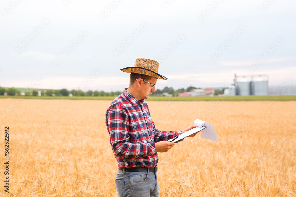 年轻农民在文件上写小麦发展计划。农民检查麦田进度。