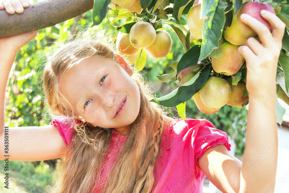 孩子（女孩）在苹果树附近。健康食品。